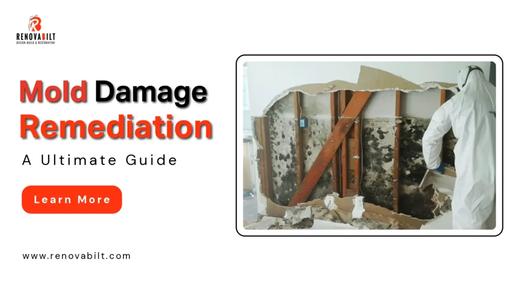 Mold Remediation Guide