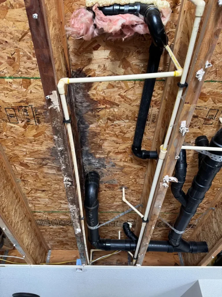 Mold Removal and Remediation in Denver and Aurora