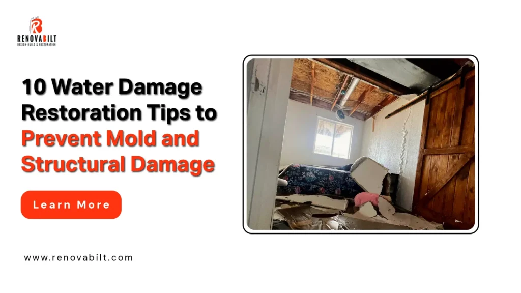 10 Water Damage Restoration Tips to Prevent Mold and Structural Damage
