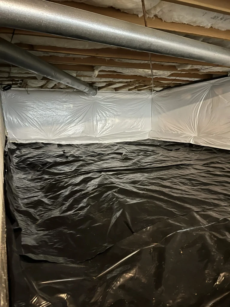 Professional Crawl Space Cleanup