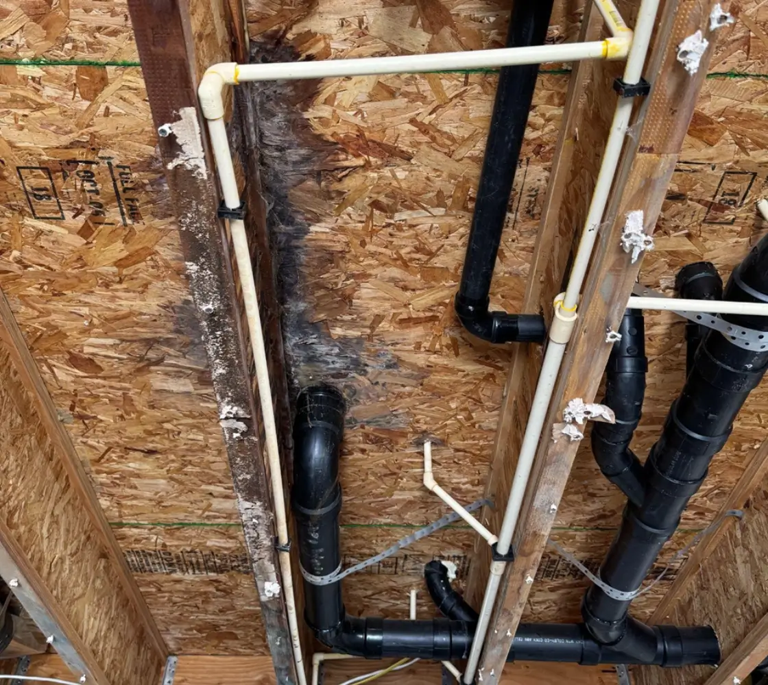 Mold Damage Restoration in Denver Before