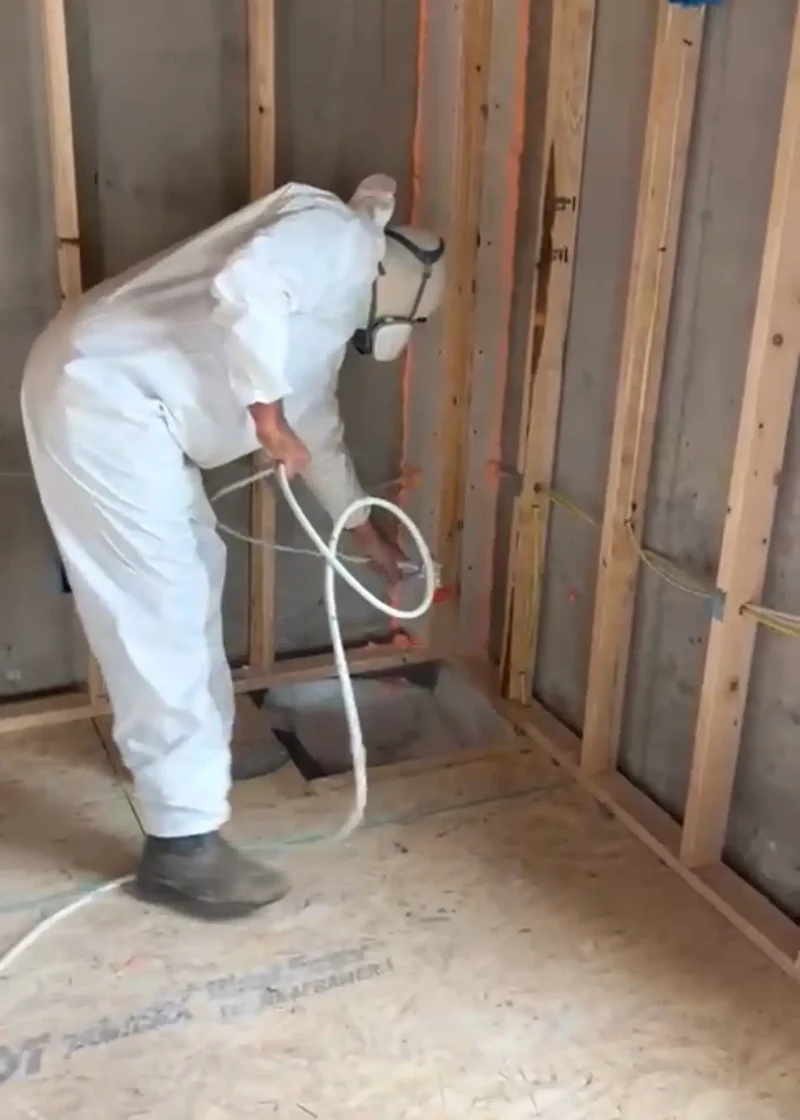 Mold remediation restoration in Denver