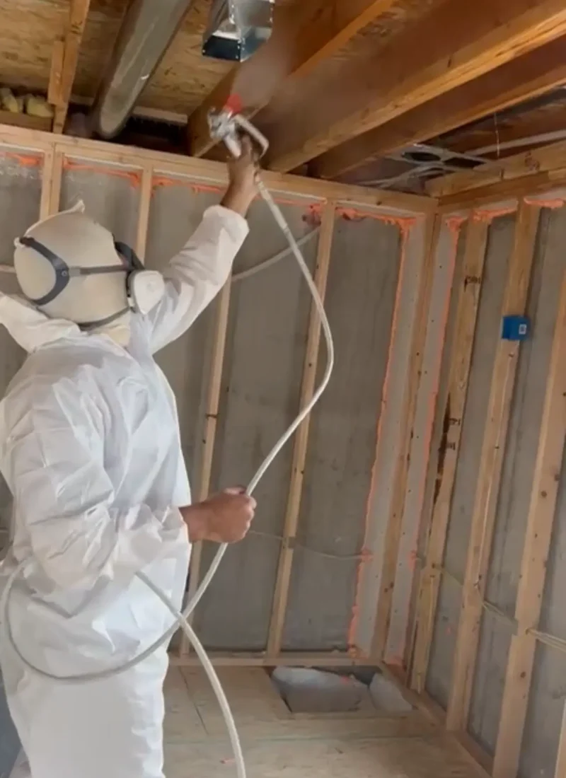 Mold remediation treatment in Denver